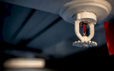 Property Managers: Replace Painted Heads or Risk a Full System Mandate